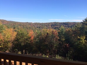 View from back porch