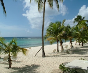 Take a break from the sun under the palm trees