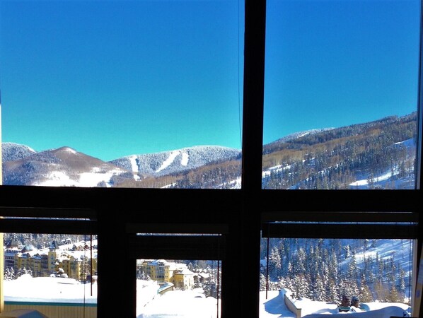 The View!