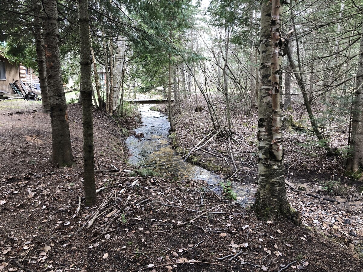 Beautiful Secluded Log Cabin Close to Mackinaw City