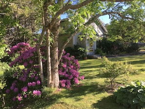 Overnatningsstedets område