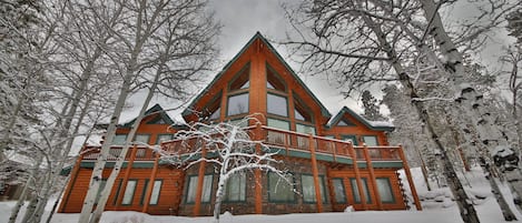 Aspen Grove in the winter.