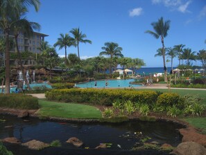 Sunshine, Blue Skies, Palm Trees -- Perfect