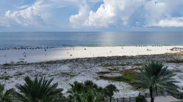 View from Balcony