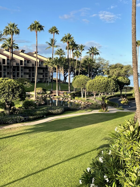 View from lanai to the beach.