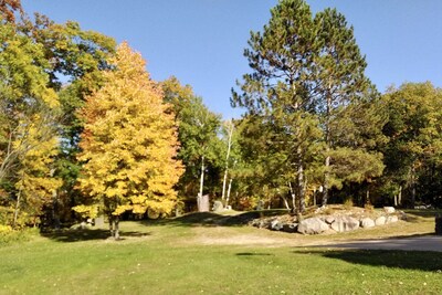 Secluded Cabin, located on a Private Pristine Lake in the Middle of the Forest 