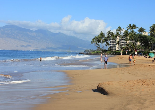 Beautiful Sandy Kamaole II Beach Across the Street.  Swim, Sunbathe, Snorkel.