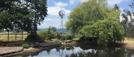 Windmill by the pond