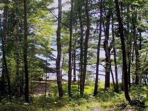 View from Ferns