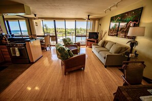 Floor to ceiling windows, bamboo floor, stainless appliances, recliners, pullout