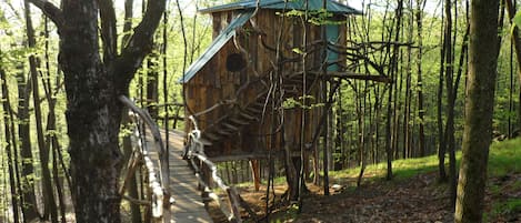 Hermt-Thrush Treehouse