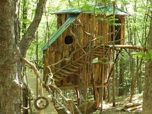 Hermit-Thrush Treehouse