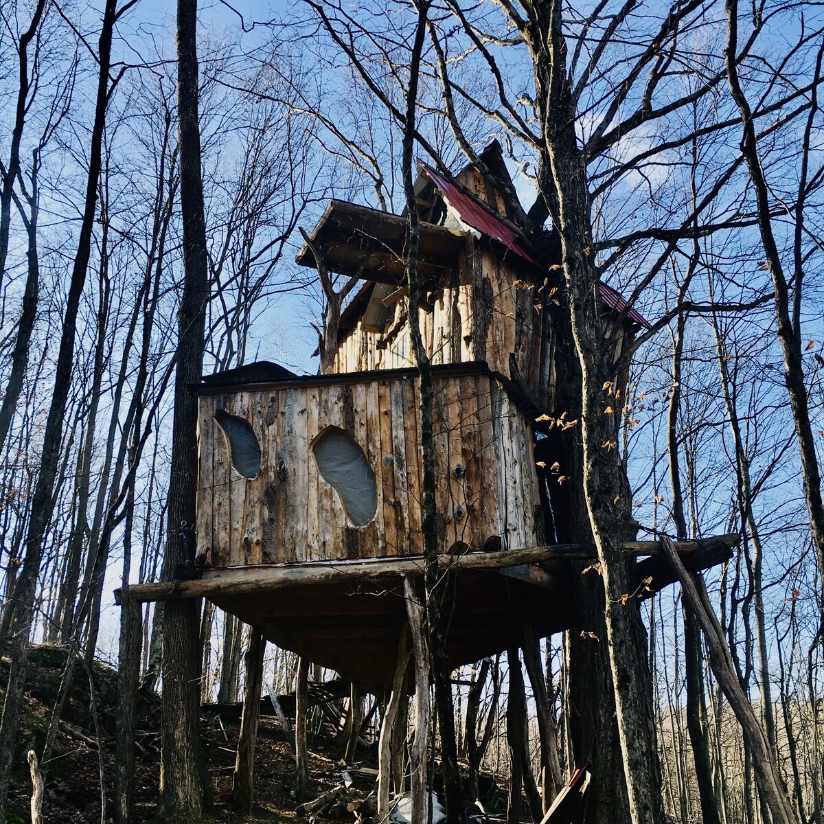 Main Image