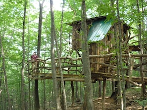 Hermit-Thrush Treehouse