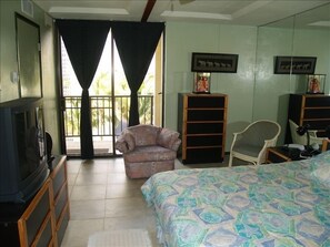 Air-cond. spacious bdrm. Camera shy Flat screen TV & oceanview: style & Comfort