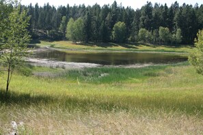 Private view of pond and wildlife from our deck