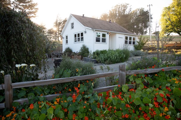Welcome to the School House at Stemple Creek Ranch! 