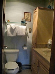 Luxury Trail Creek ski home + shuttle 2king & 3twin beds sauna hot tub end unit