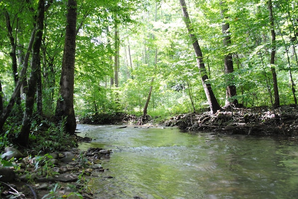 Creek runs the length of property