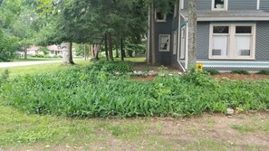 Many trees and the best "lawn" we could create in the sandy soil.