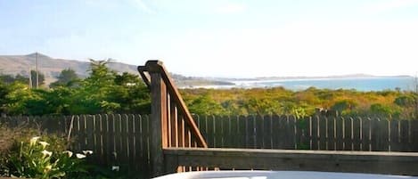 Coastal View to Bodega Head