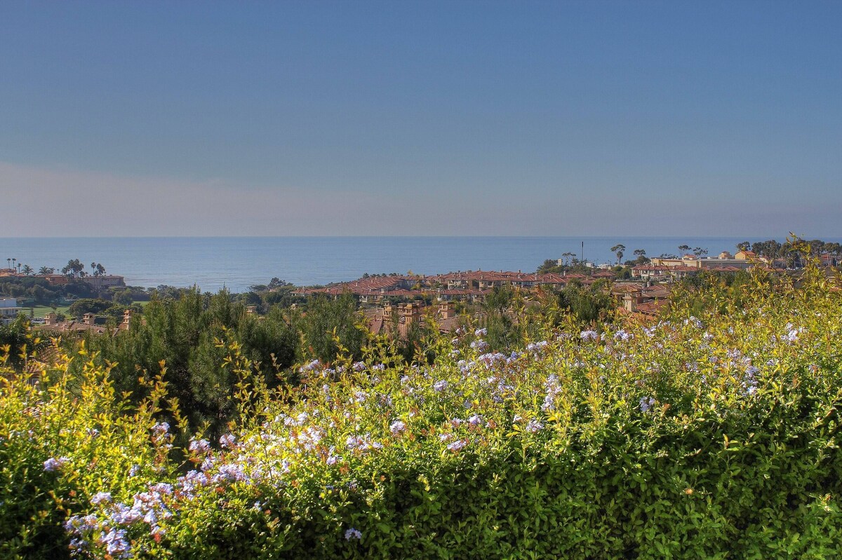 Luxury OCEANVIEW -GOLF Community FULL Ocean View, Centrally Located To surf, s