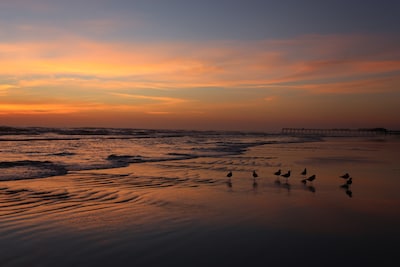 Condo On The Beach In Sunny Florida - Beach front and on A1A