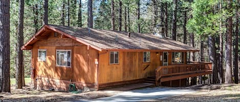 Entrance up to cabin