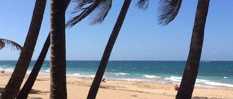 Beach at the Condo!