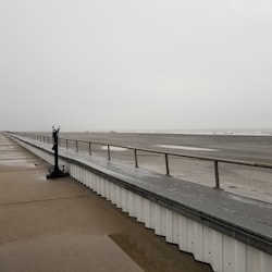 Walking distance to the Sea Wall for a nice morning or evening stroll.