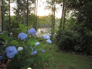 Beautiful landscaping