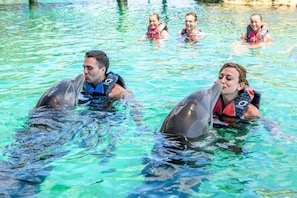 Fun Dolphin Experiences at Atlantis
