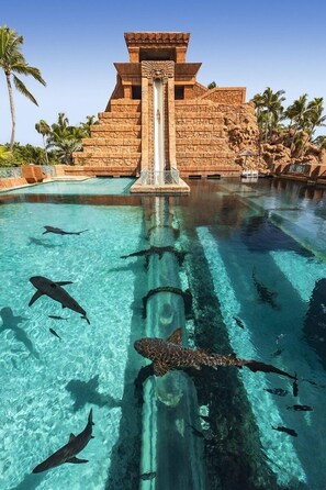 The Leap of Faith (one of 18 water slides)