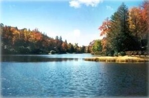 Scenic view from the front deck in our pristine half acre private setting.