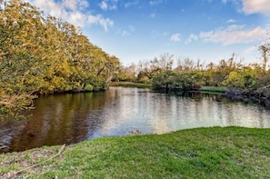 Beautiful Ponds in the Neighborhood