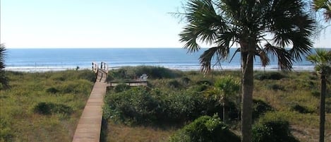 A lofty view of our private boardwalk and deck. Gorgeous location!!