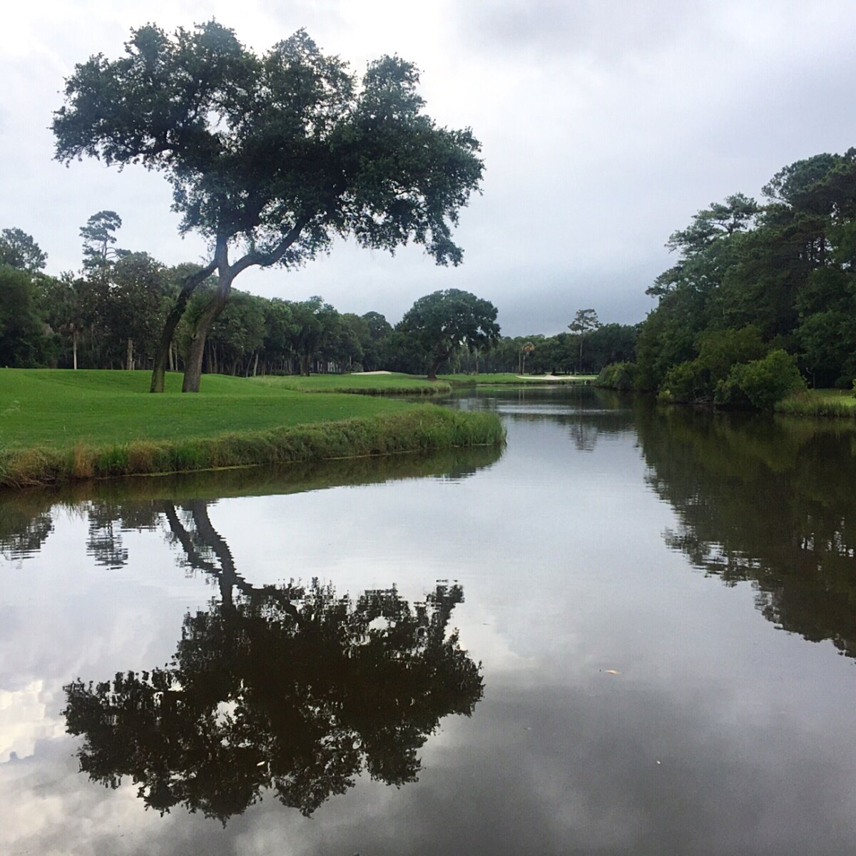 Best BEACHFRONT Kiawah Rates! Pup Friendly, Cozy Home.