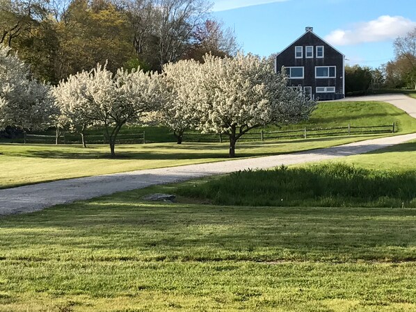 Boendeområde