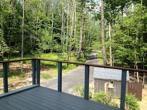 long driveway to the cabin
