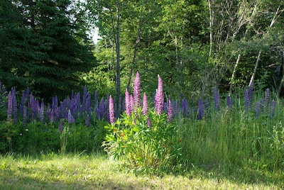 North Shore Lake Superior Townhome Just Steps Away From The Edge Of The Water!