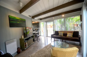 Living room with sleeper couch and flat screen TV