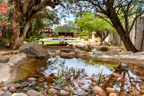 Oasis in desert!  Lush back yard, with fenced yard and gorgeous pool