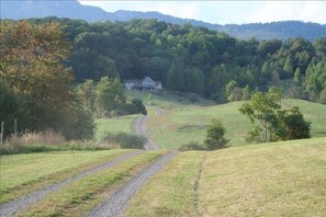 The driveway to the lodges.