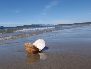 Low tide on a sunny summer's morning on Welcome Beach at Konrad Cottages