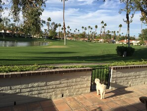 Beautiful lake & golf course  view from the back patio.