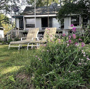 Sun chairs for our guests