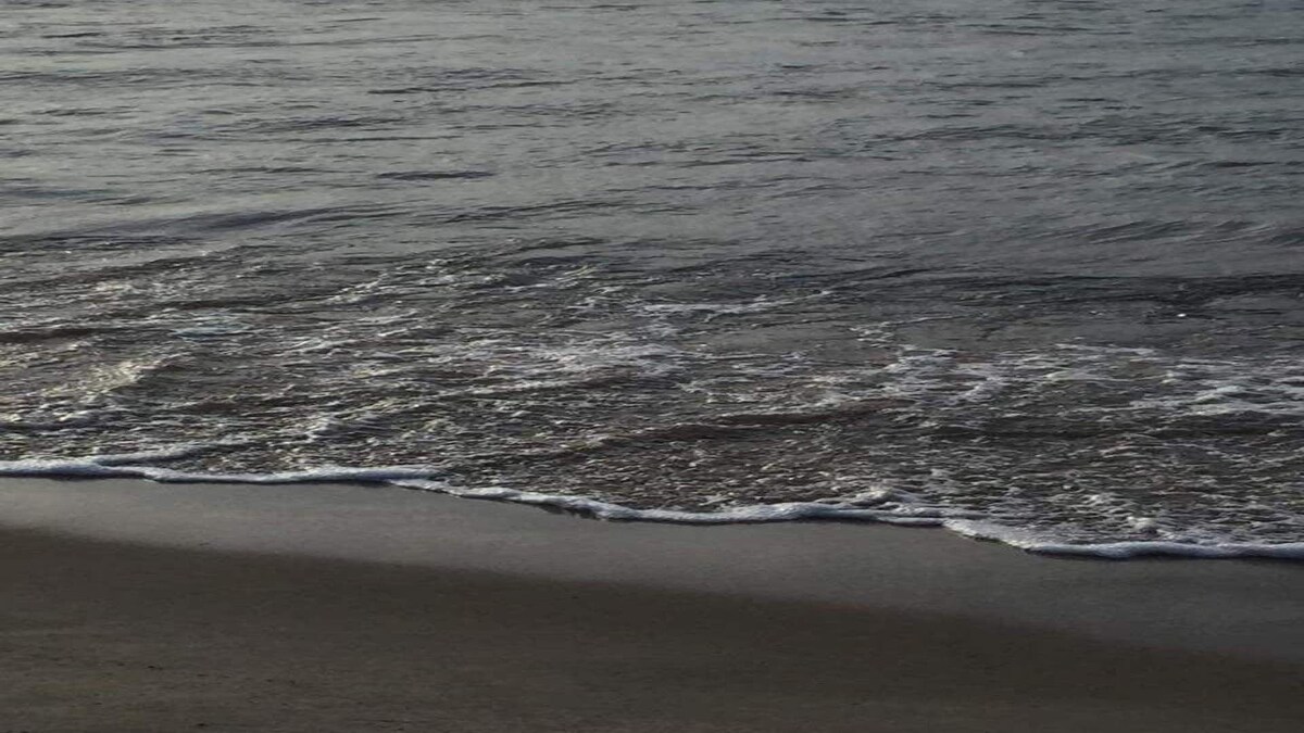 Beagle Beach + Hot Tub + Pontoon rental available