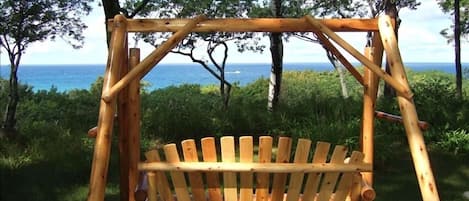 Bluff view of Lake Michigan from Adirondack swing