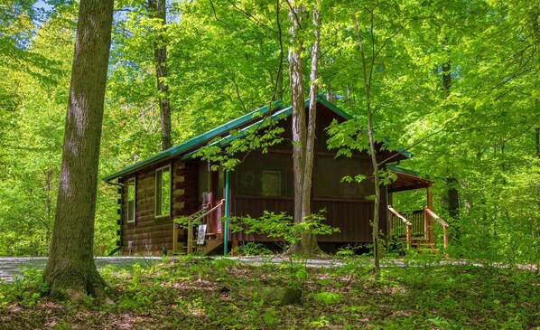 The Woods cabin is surrounded by trees.