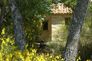 Gite in Provence in the heart of Luberon